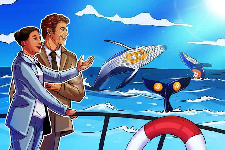 CryptoQuant: Cá voi tiền mã hóa đẩy mạnh tích lũy khi thị trường giá xuống bước vào giai đoạn cuối